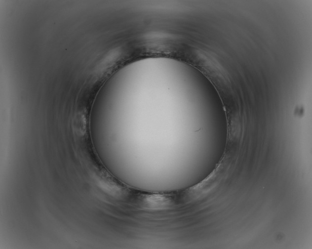 X0000091570183200708201153