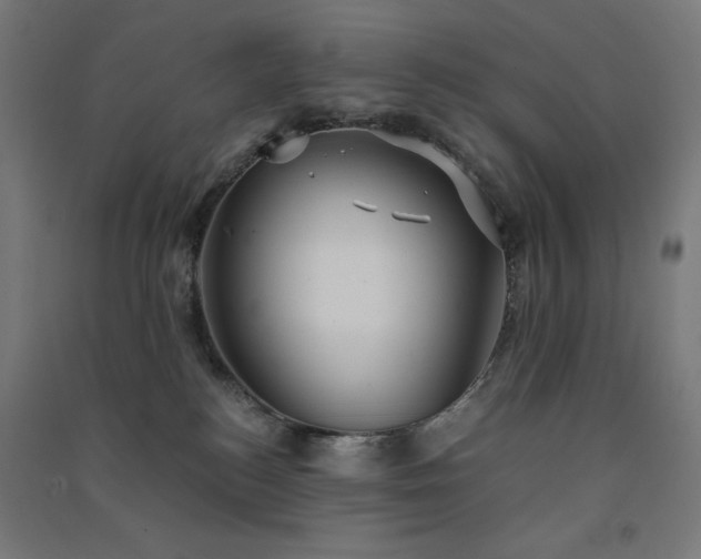 X0000091570184200708201153