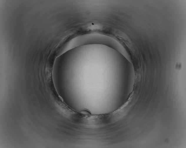 X0000091570186200708201153