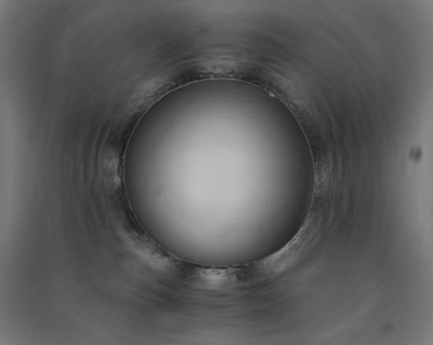 X0000091570187200708201153