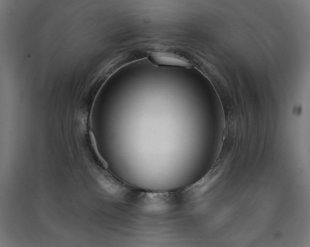 X0000091570188200708201153