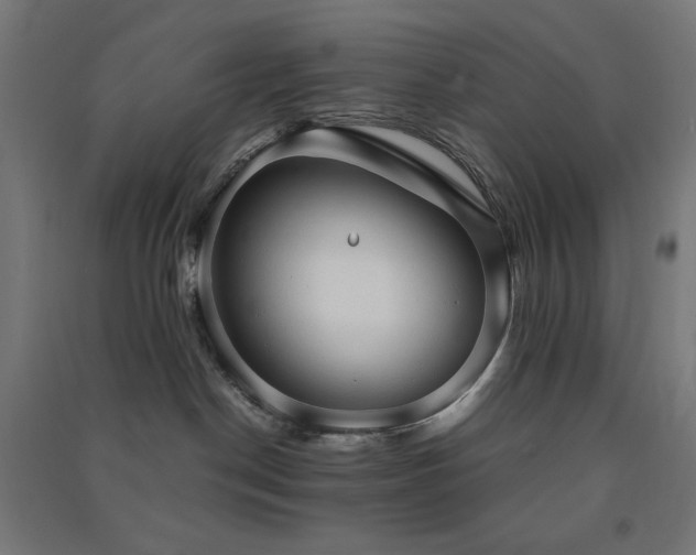 X0000091570190200708201153