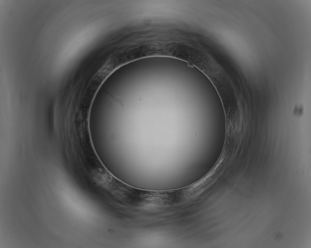 X0000091570191200708201153