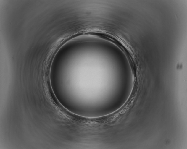 X0000091570193200708201153