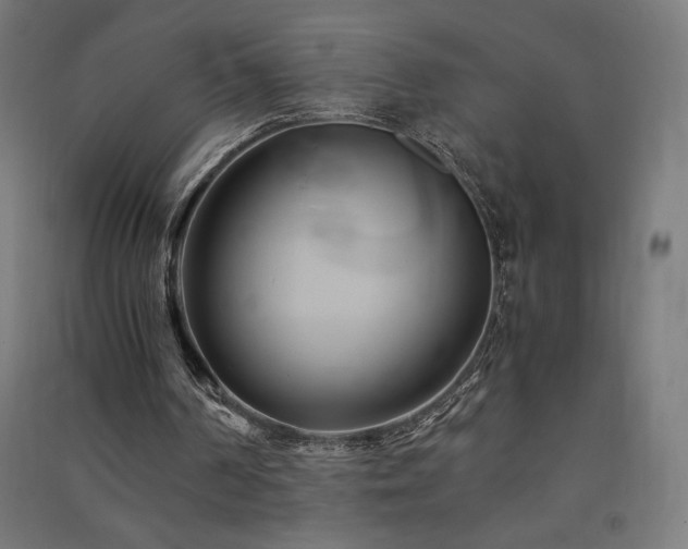 X0000091570194200708201153