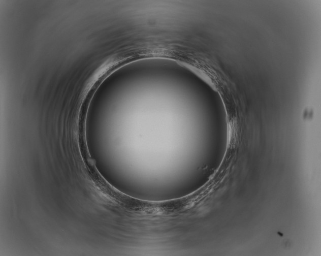 X0000091570195200708201153