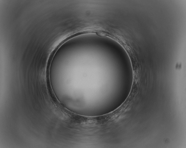X0000091570196200708201153