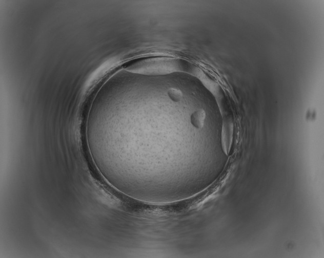 X0000091570197200708201153