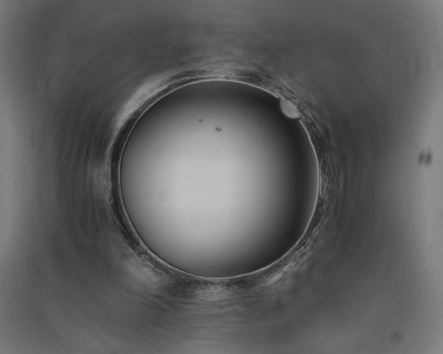 X0000091570198200708201153