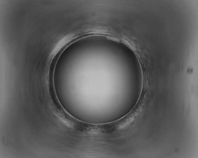 X0000091570199200708201153