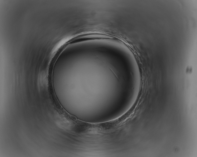 X0000091570200200708201153