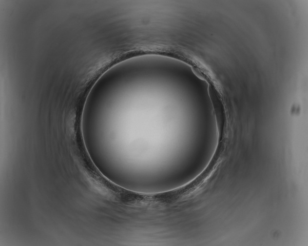 X0000091570201200708201153