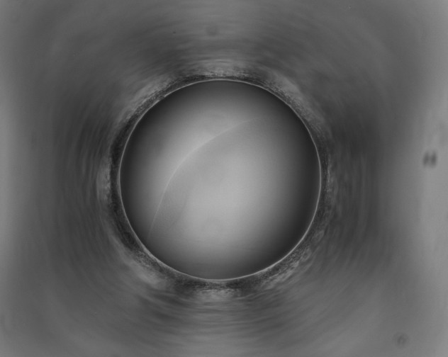 X0000091570202200708201153