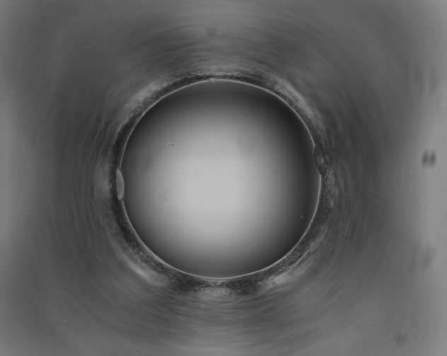 X0000091570203200708201153