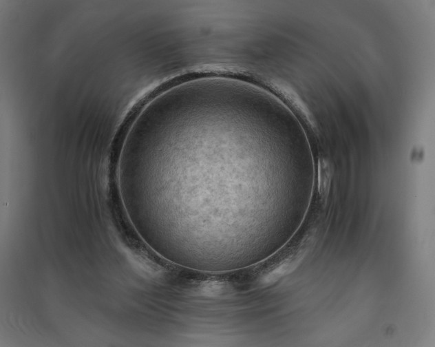 X0000091570204200708201153