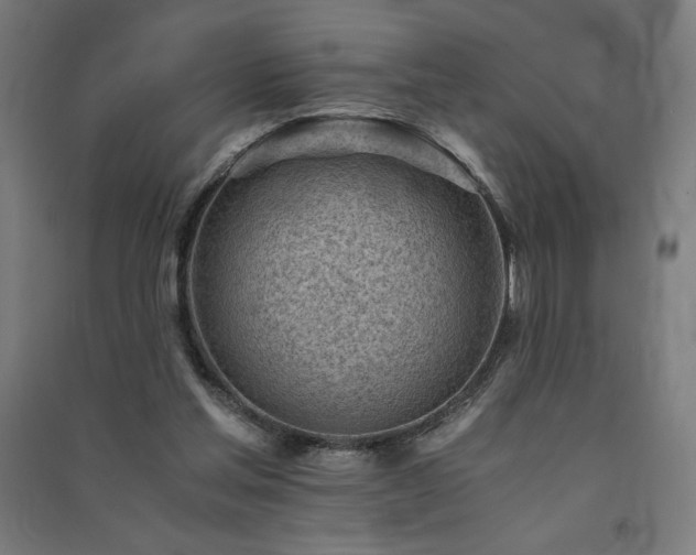 X0000091570205200708201153
