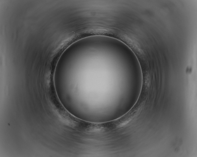 X0000091570206200708201153