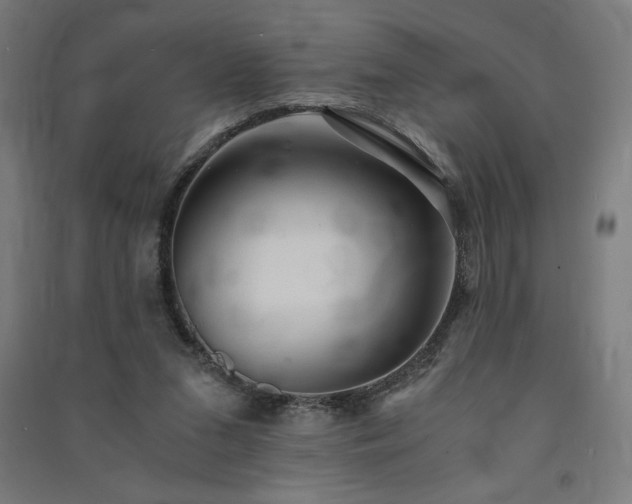 X0000091570207200708201153