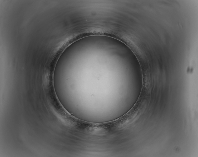 X0000091570208200708201153