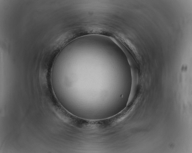 X0000091570209200708201152