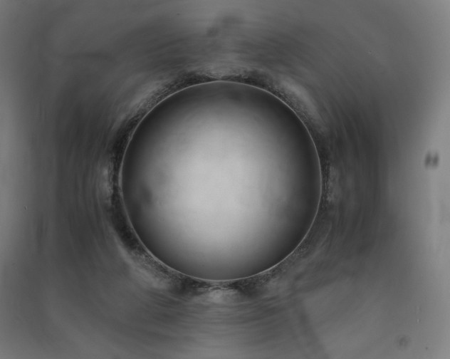 X0000091570210200708201152