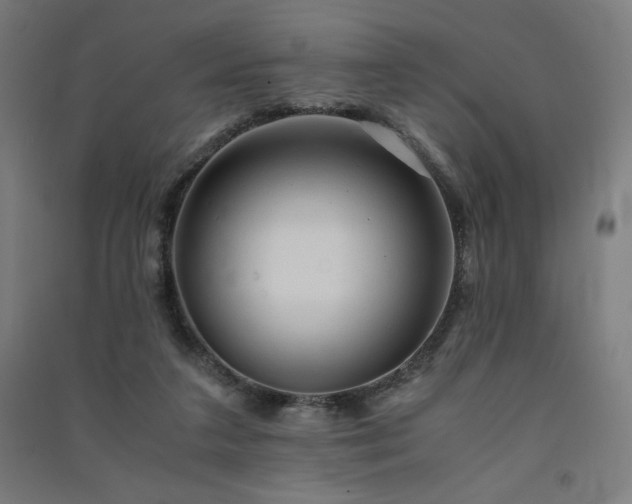 X0000091570211200708201152