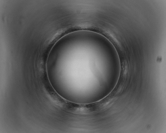 X0000091570212200708201152