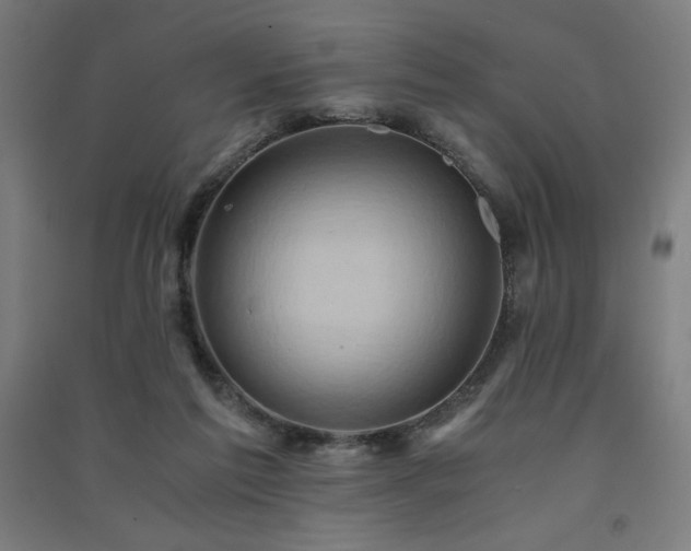 X0000091570213200708201152