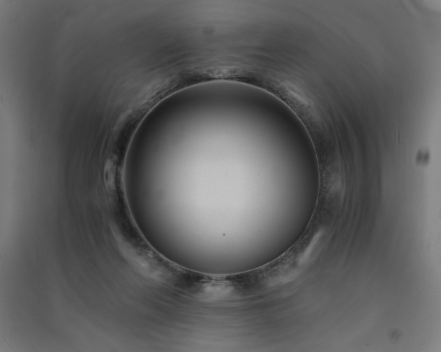X0000091570214200708201152