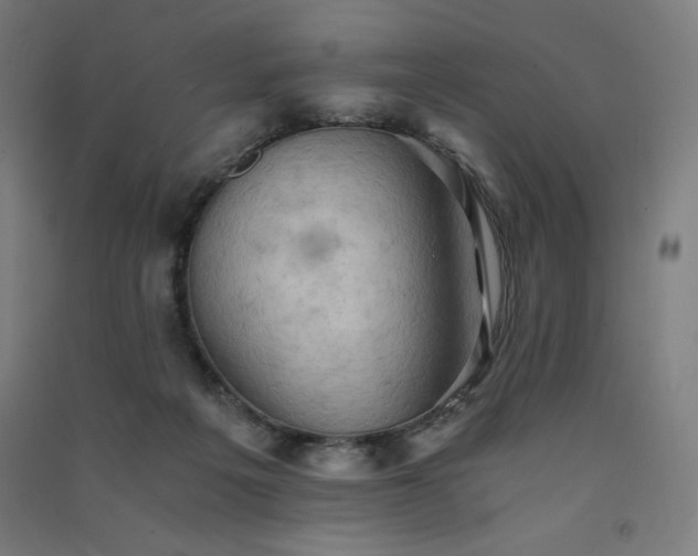 X0000091570217200708201152