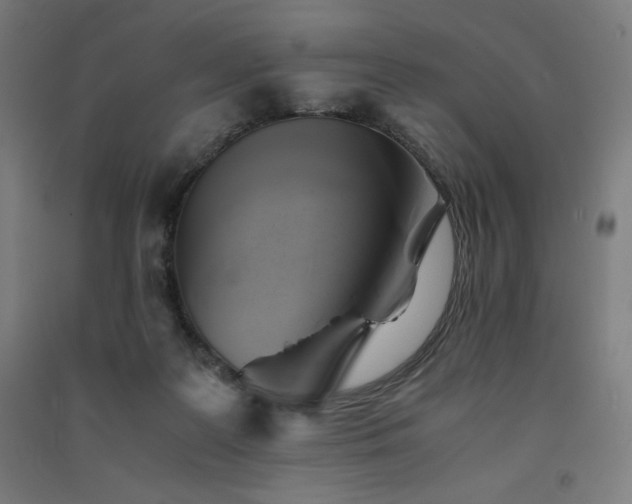 X0000091570219200708201152