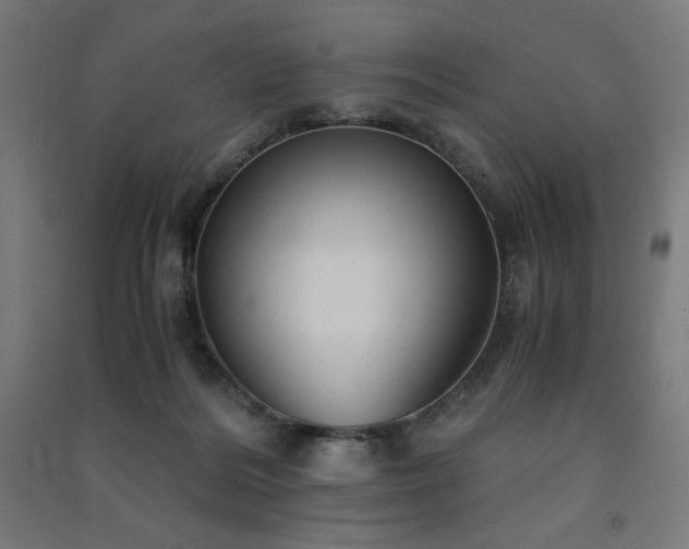 X0000091570220200708201152