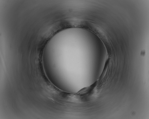 X0000091570221200708201152