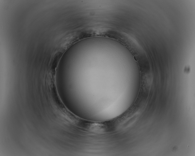X0000091570222200708201152