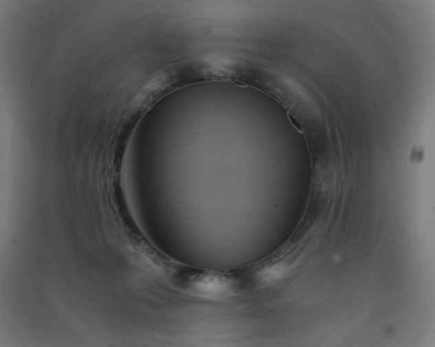 X0000091570223200708201152