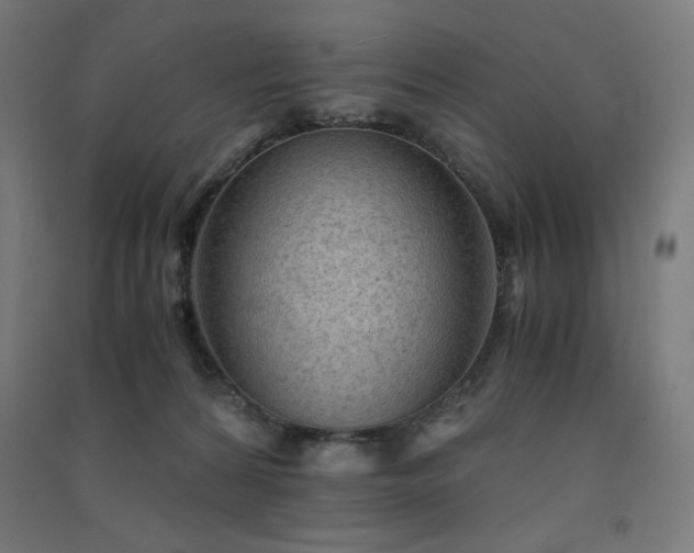 X0000091570224200708201152