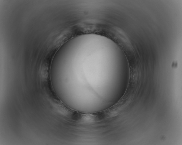 X0000091570226200708201152