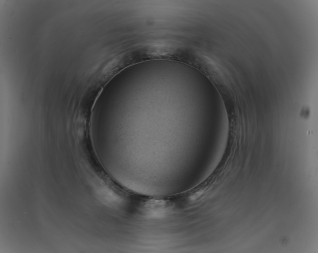 X0000091570227200708201152