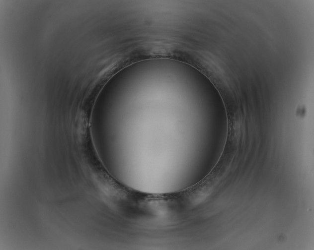 X0000091570228200708201152