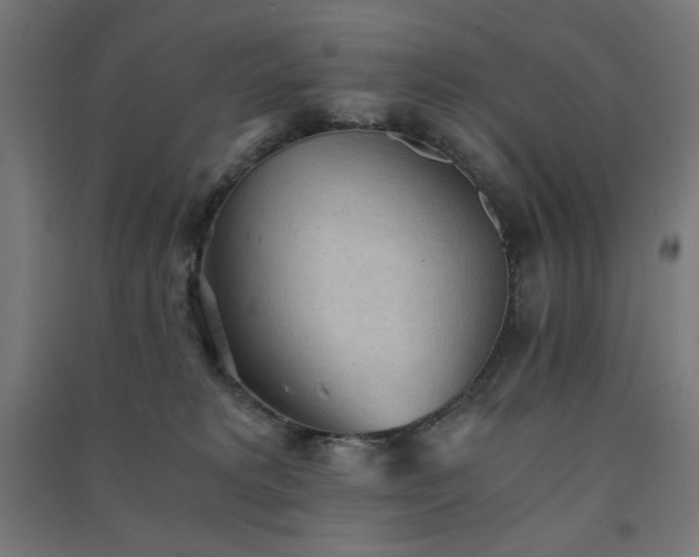 X0000091570229200708201152