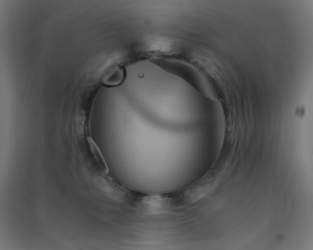X0000091570231200708201152