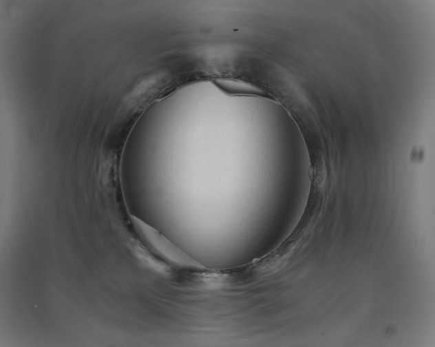X0000091570233200708201152