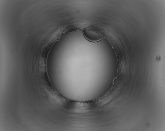 X0000091570234200708201152