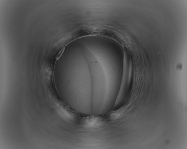 X0000091570235200708201152