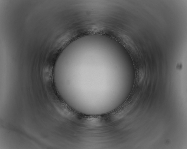 X0000091570236200708201152