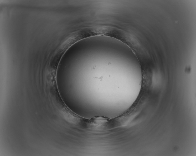 X0000091570237200708201152