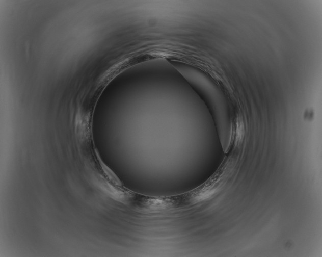 X0000091570239200708201152