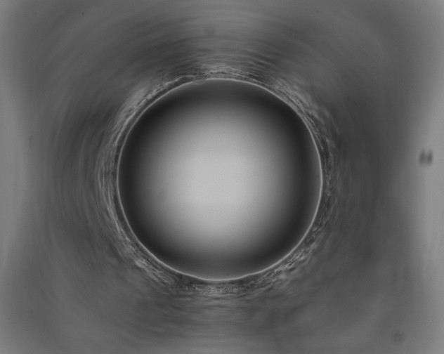 X0000091570241200708201151