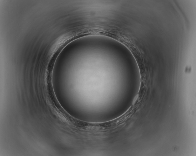 X0000091570242200708201151