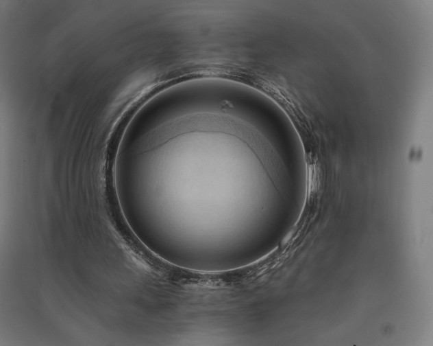 X0000091570243200708201151
